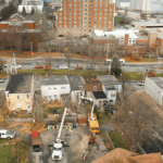 All Green Tree Care Limited photo 7